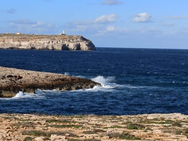 #Spuc2021 "Frutti in abbondanza" a Lampedusa