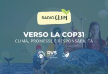 Radio GLAM. Verso la COP31