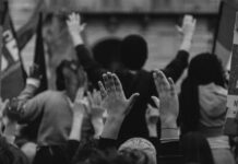 La piazza della violenza e la piazza delle idee: il dilemma liceale