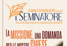 La missione, una domanda per le nostre chiese